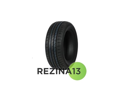 Double Coin DC99 205/55 R16 91V