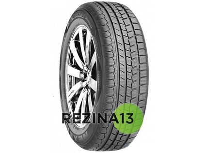 Roadstone Eurovis Alpine WH1 225/70 R16 103H