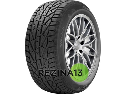 Riken Snow 205/55 R16 91H