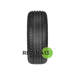 Fortuna Gowin UHP 205/55 R16 91H