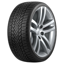 Roadmarch WinterXPro 888 225/45 R18 95H XL