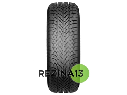 Paxaro Inverno 225/45 R18 95V XL