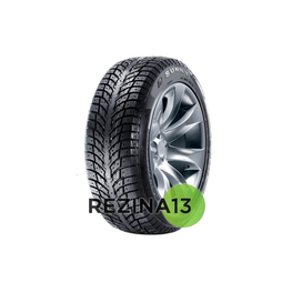 Sunny NW631 225/55 R17 101H XL