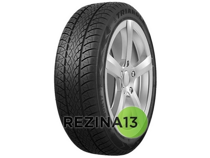 Triangle WinterX TW401 205/55 R16 94V XL