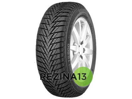 Continental ContiWinterContact TS 800 125/80 R13 65Q