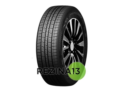 Doublestar DSS02 235/55 R20 105V XL