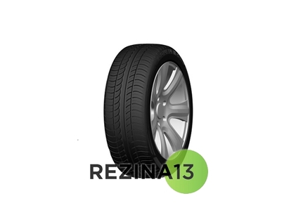 Double Coin DC100 255/35 ZR19 96Y XL