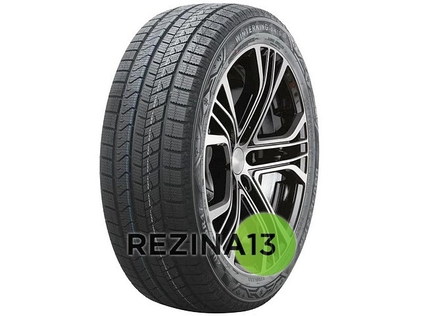 Doublestar WinterKing DW16 205/55 R17 95T XL