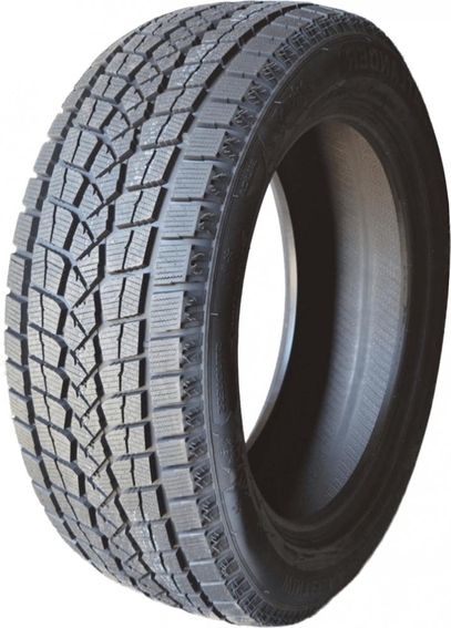Atlander Winter AX38 245/55 R19