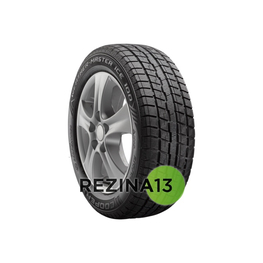 Cooper Weather-Master Ice 100 205/55 R16 91T