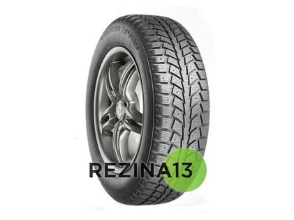 Uniroyal Tiger Paw Ice & Snow 2 205/65 R16 95S